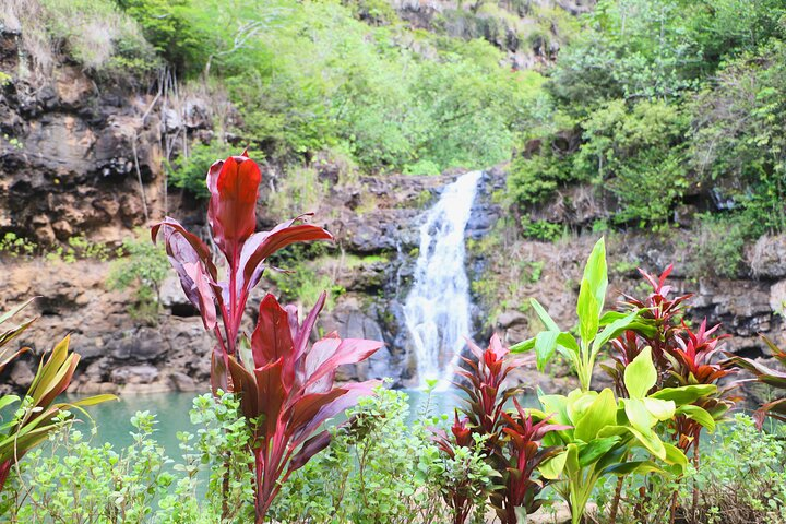 Waimea Falls